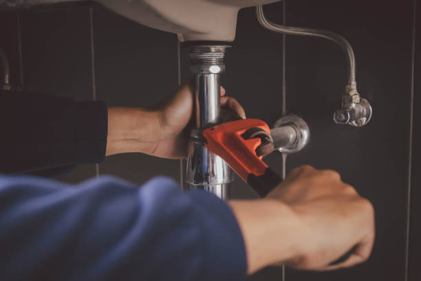 Best Clogged Drain Plumber  in Boyceville, WI